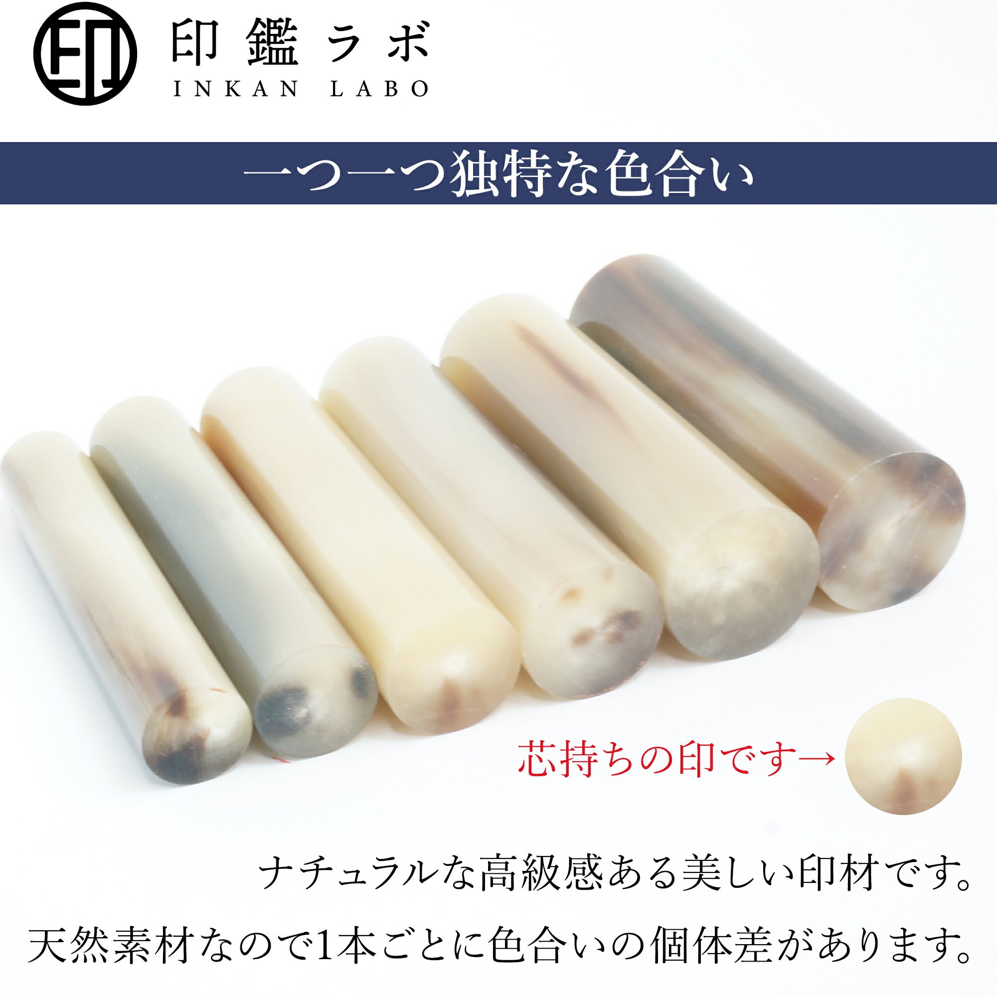 個人印鑑 実印 選べる6サイズ オランダ水牛